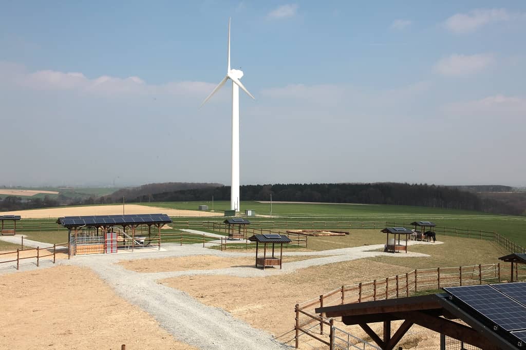 Großzügige Paddocks - Aktivstall Springob